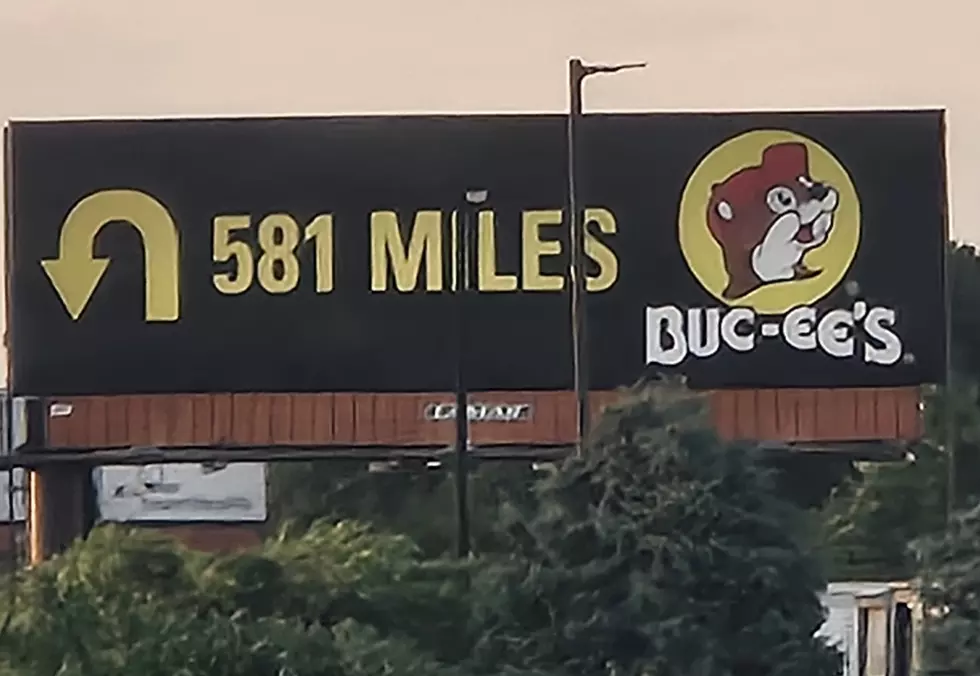 Buc-ee's sign on the NJTPK (Photo Credit: Jen Ursillo)