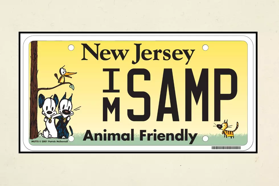 NJ MVC and Canva Images
