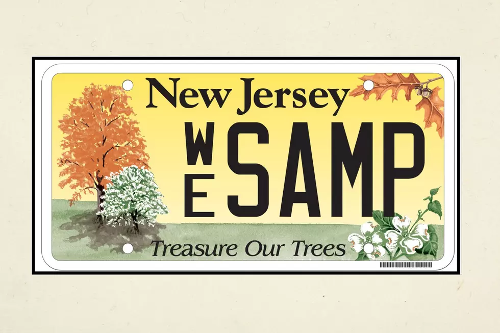 NJ MVC and Canva Images
