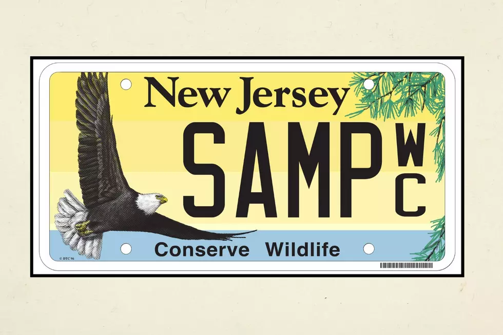 NJ MVC and Canva Images