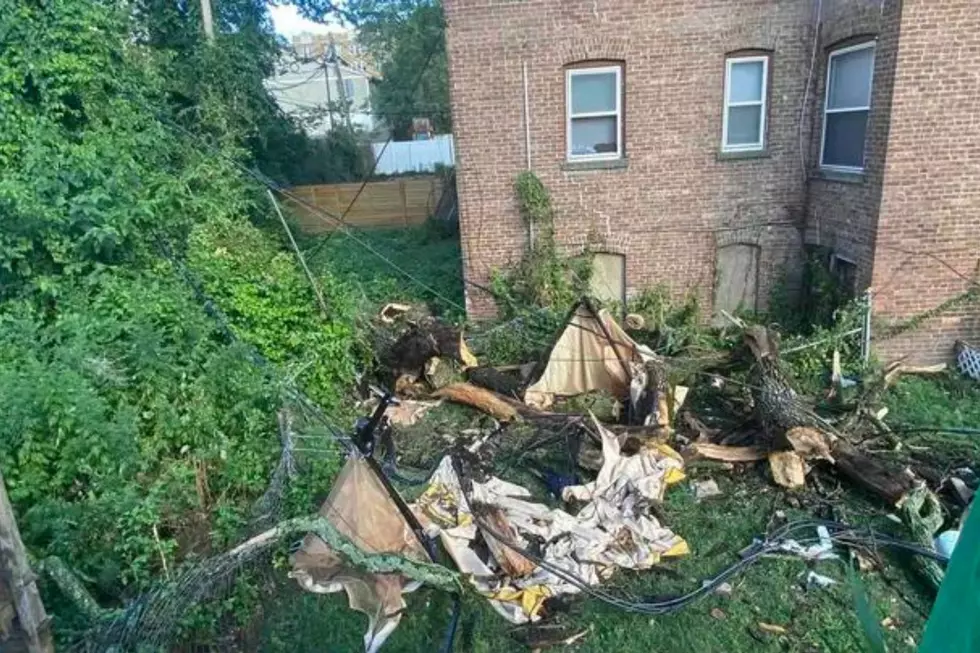 East Orange, NJ dad dies after tree falls on him