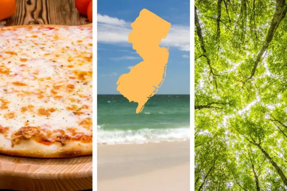 What&#8217;s so great about the Garden State, anyway? We asked NJ