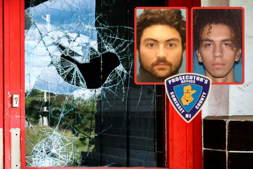 Young NJ duo accused in string of smash-and-grab burglaries