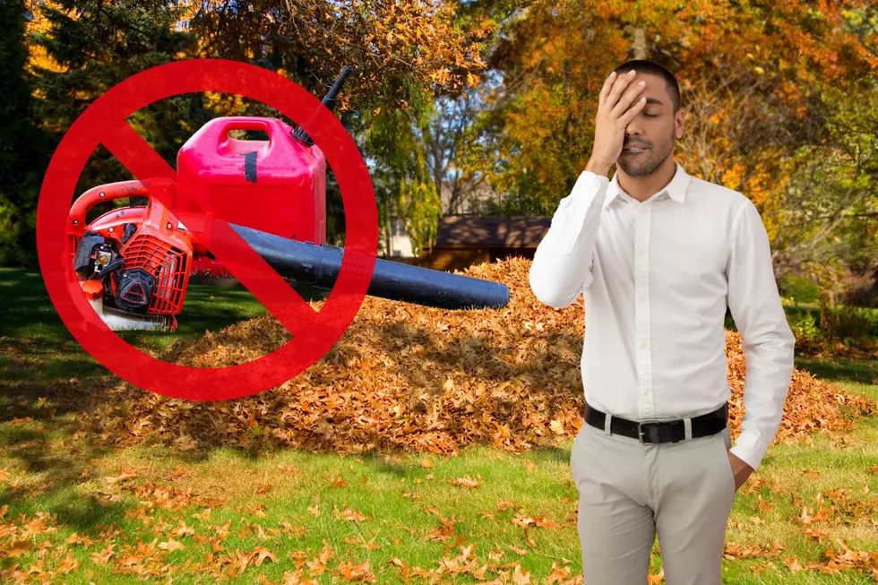 New Jersey’s absurd leaf blower ban — NJ Top News