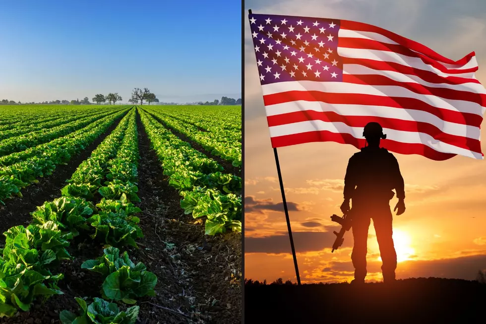 Veterans and local farms are &#8216;perfect together&#8217;