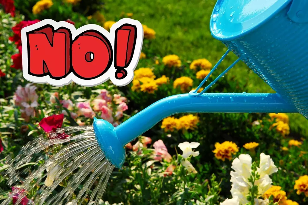Why now is the time to stop watering your plants in NJ