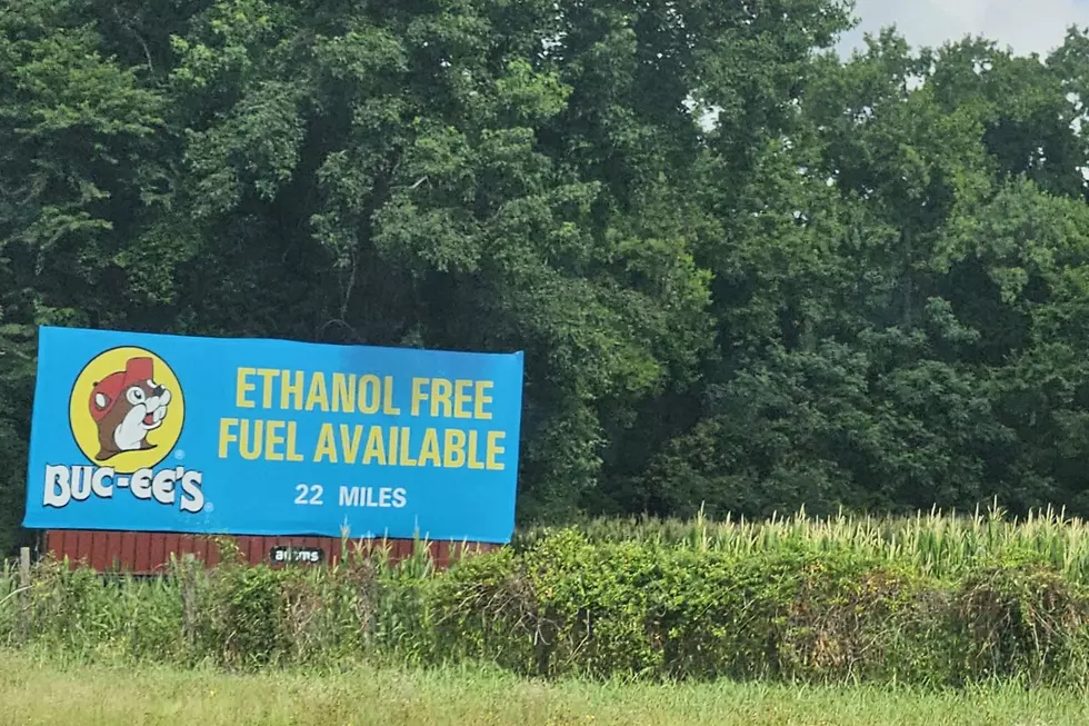 Buc-ee's sign on I-95 (Jen Ursillo)