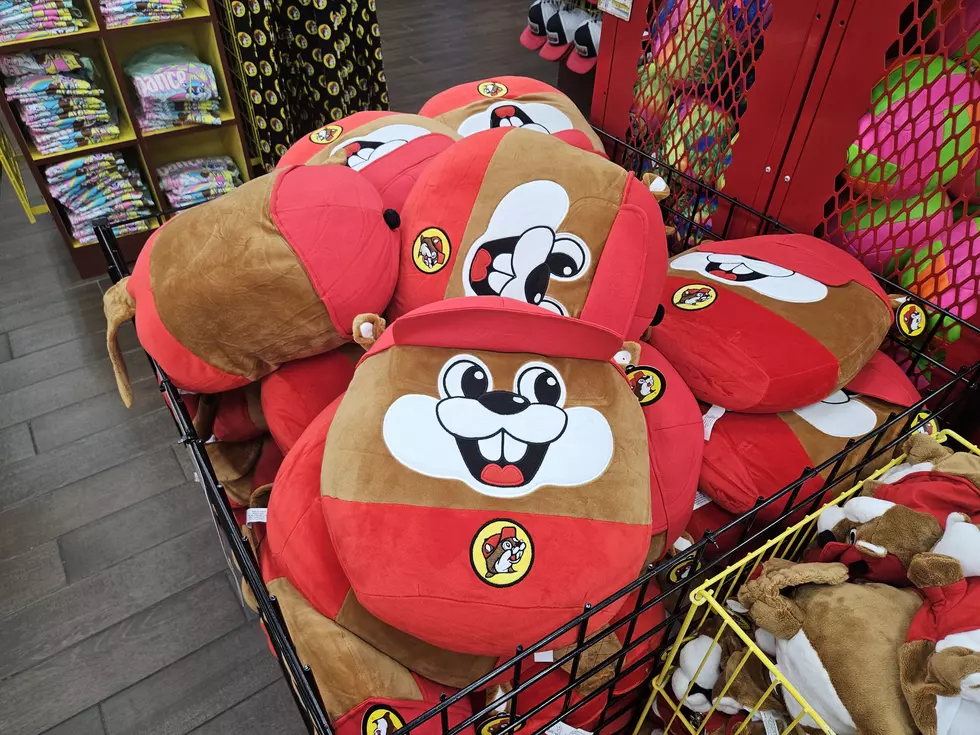 Buc-ee pillows (Jen Ursillo)