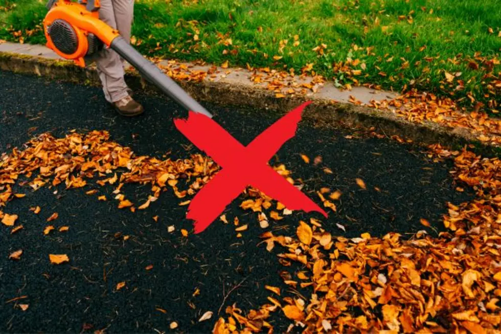 Blowing leaves in NJ? Potential fines range from $25 to $1,000