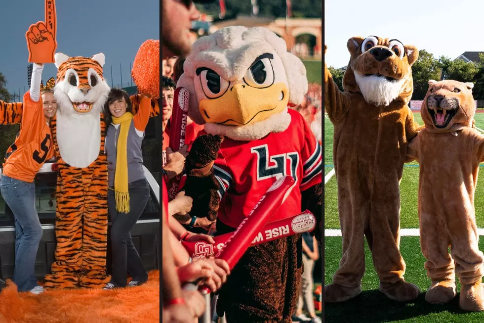 Find your high school — These are NJ’s best mascots