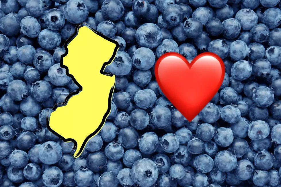 Do you love blueberries? Celebrate the NJ state fruit