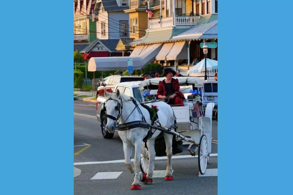 Beloved carriage horse suddenly dies in Cape May &#8211; NJ Top News