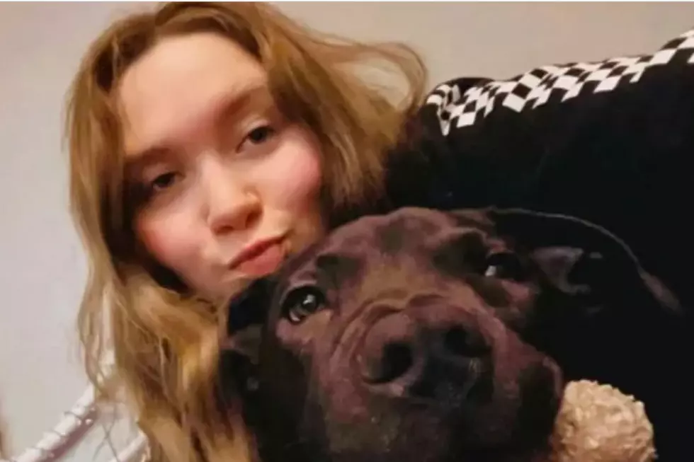 NJ woman, dog killed in Warren County homicide NJ woman, dog killed in Warren County homicide Amanda Pulver, dog Dunkin (Jordan Delorimier via GoFundMe)