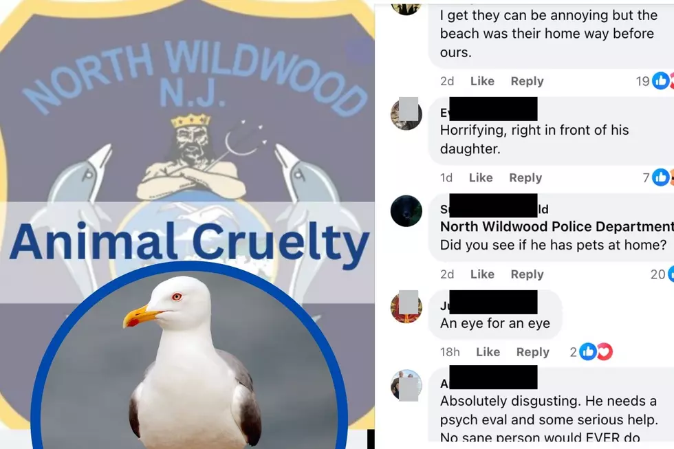 Public disgust for NJ man accused of beheading seagull at Shore