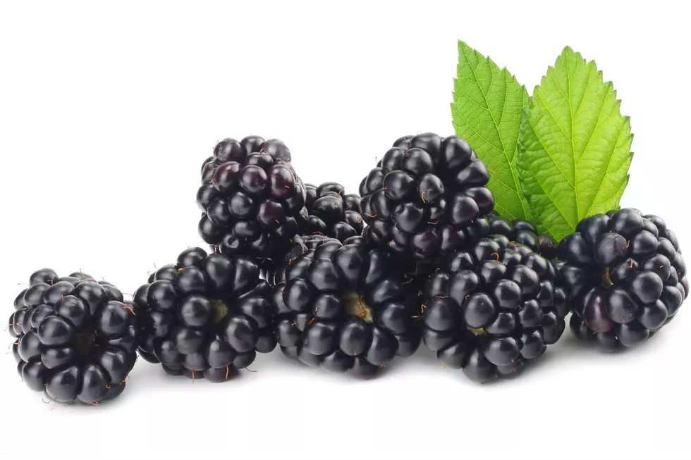 Blackberries (Getty Images)