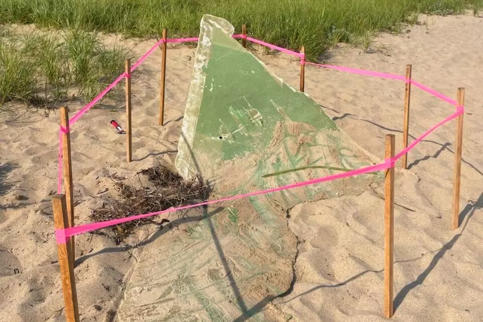 Piece of a broken wind turbine blade on a Nantucket beach (nantucket-ma.gov)