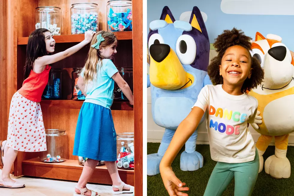 (Credit: CAMPxBluey, Canva) Bluey experience King of Prussia Mall Philadelphia PA