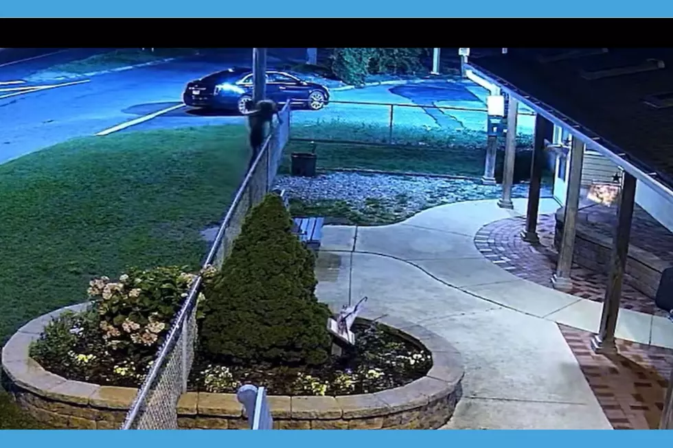 Atlantic City man seen tossing dog over the fence of the Humane Society of Atlantic County (Humane Society)