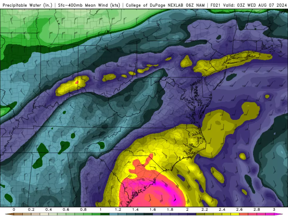 The NAM precipitable water model forecast shows a direct connection between Tropical Storm Debby's rich pool of moisture (at the bottom) and New Jersey's increased humidity and rain chances. (College of DuPage Meteorology)