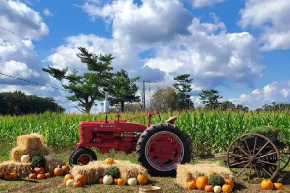 Snyder's Farm (Google Maps)