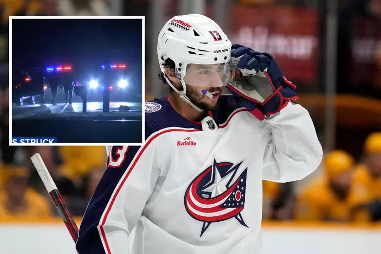 NHL player and his brother killed by 'DWI' driver in NJ