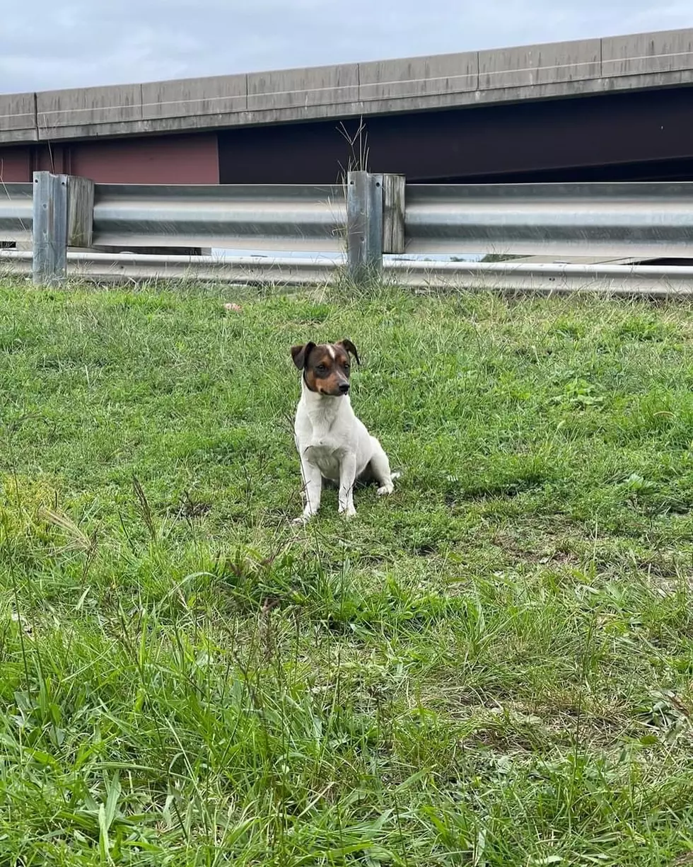 Ramapo-Bergen Animal Refuge