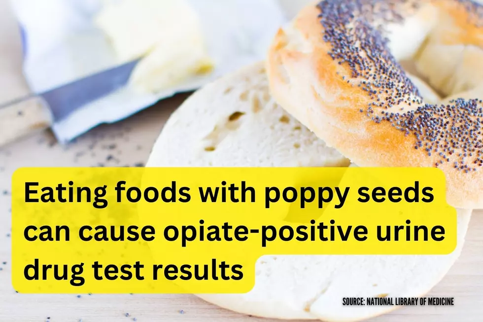 Poppy seed bagel drug test results (Canva, Townsquare Media Illustration)