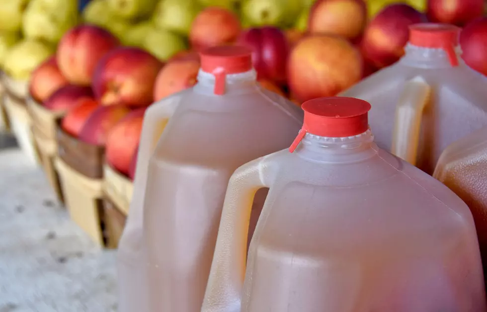 10 best places for apple cider in New Jersey