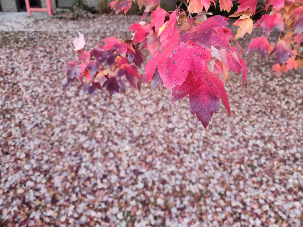 Buckle up, NJ: Wild temperature swing in the weather forecast