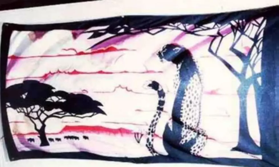 A newborn found in a dumpster was wrapped in an African Plains towel (FBI Philadelphia)