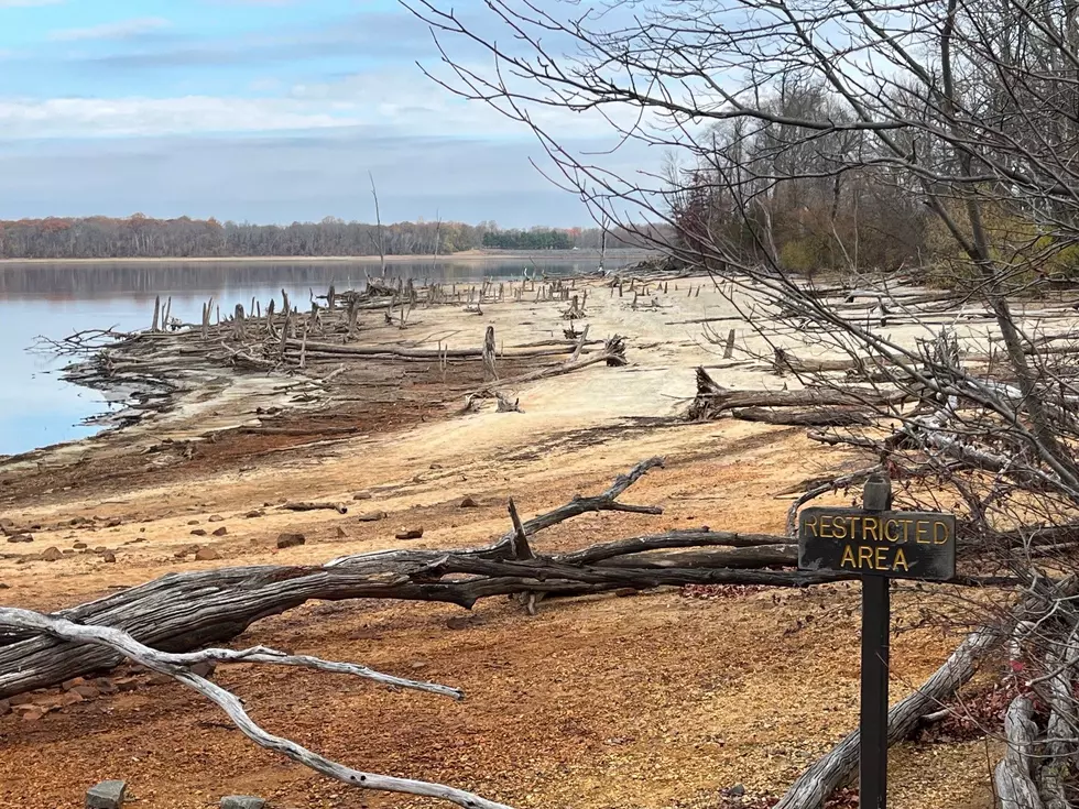 Drought at Manasquan Reservoir (11/20/24)