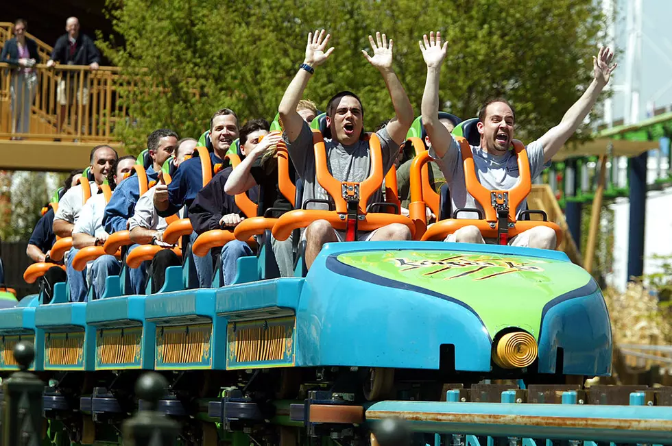 Coaster Rider Bird Strike