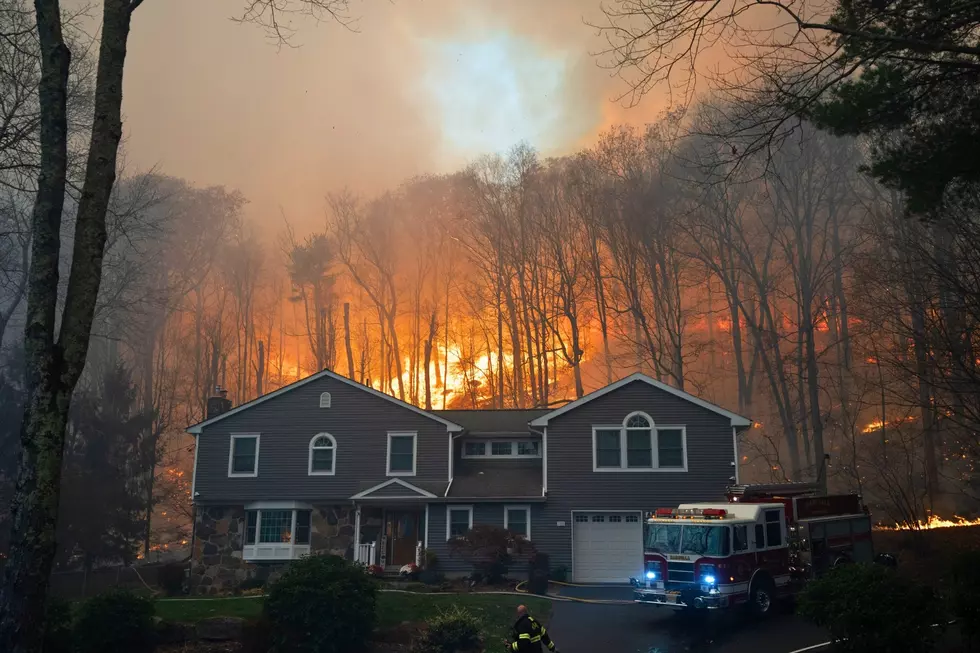 Craigmeur Lookout Wildfire (NJ Department of Environmental Protection)