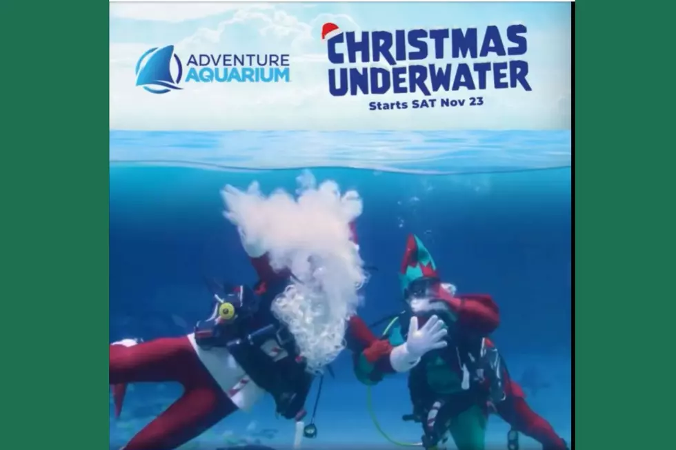 Christmas Underwater at Adventure Aquarium (Facebook)