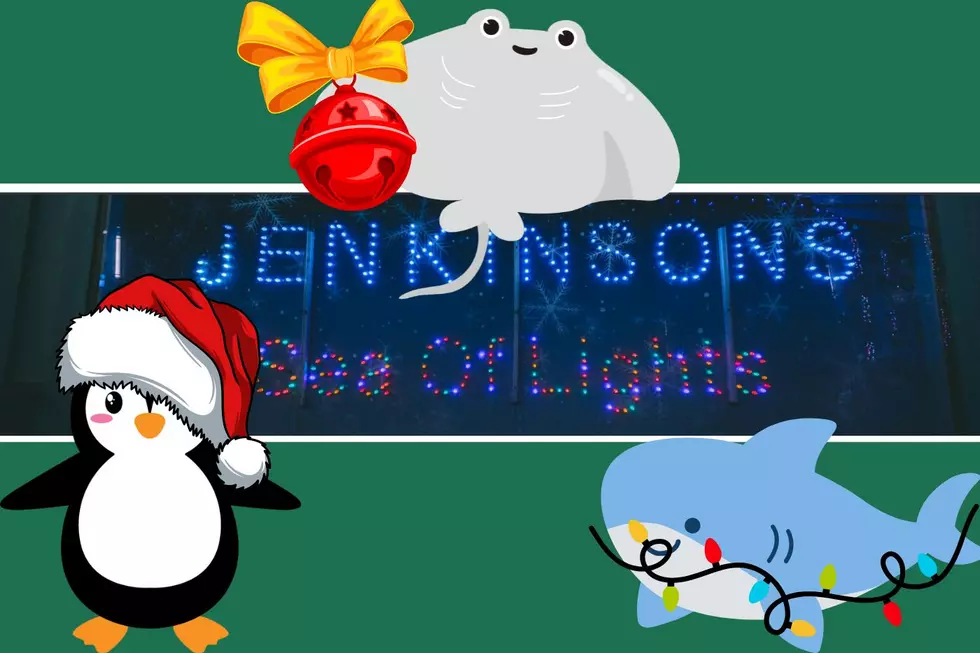 Jenkinson's/Canva