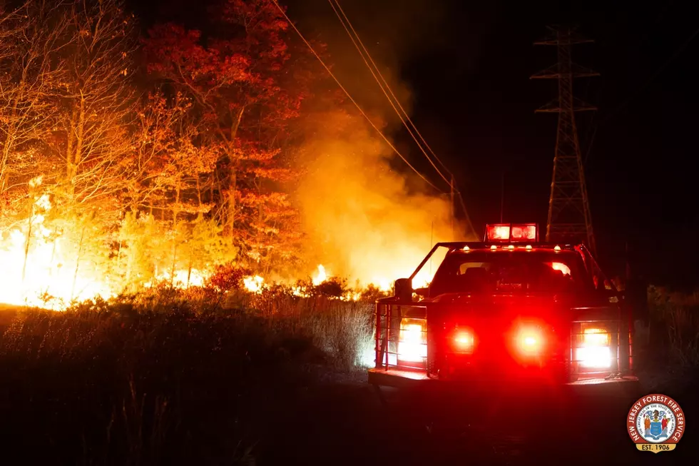 Shotgun Wildfire (NJ DEP)
