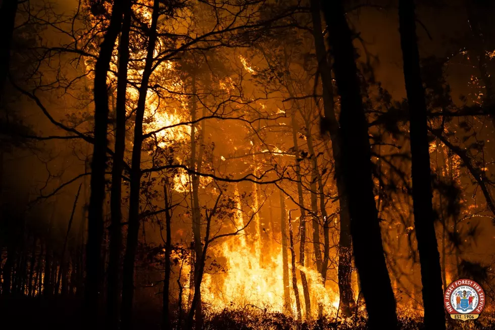 Shotgun Wildfire (NJ DEP)
