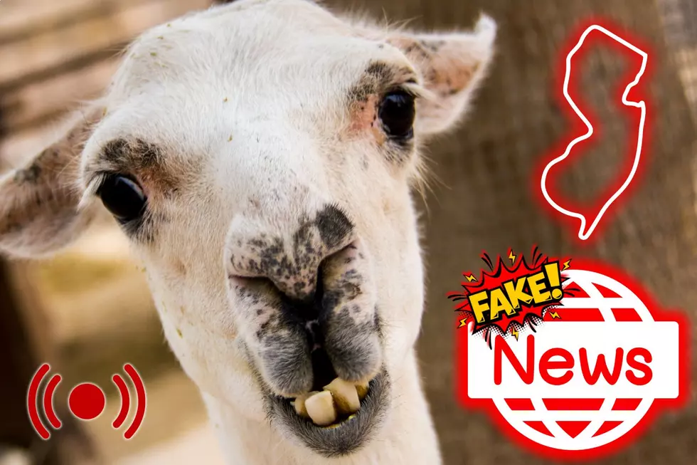 NJ meme defines how some consume everything they know