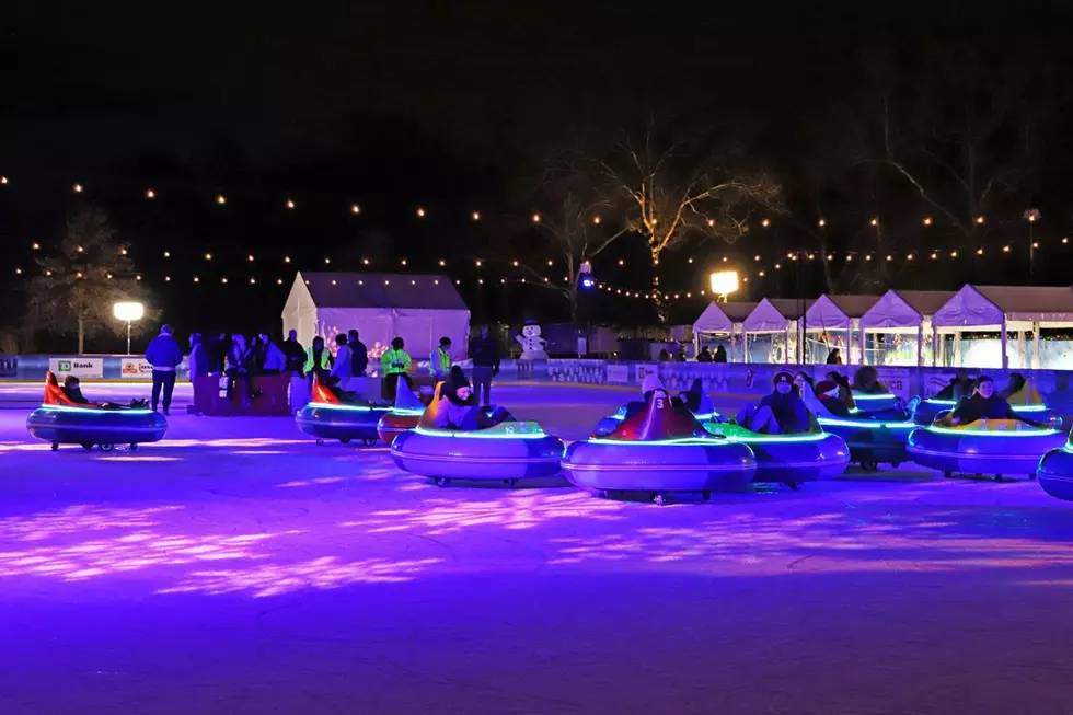 Ice Bumper Cars at Bergen County Winter Wonderland (Bergen County Winter Wonderland Facebook)