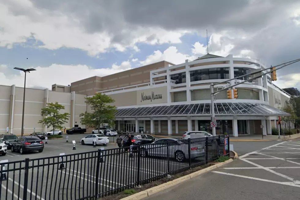 Westfield Garden State Plaza (Paramus): A staple in North Jersey, this mall is known for its upscale stores and elegant holiday décor, making it a top destination for serious shoppers.(Google Maps)