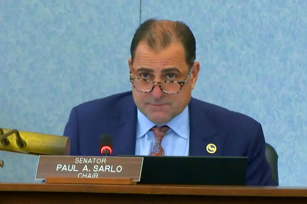 Sen. Paul Sarlo at an Oct. 7, 2024 budget meeting (New Jersey Legislature)