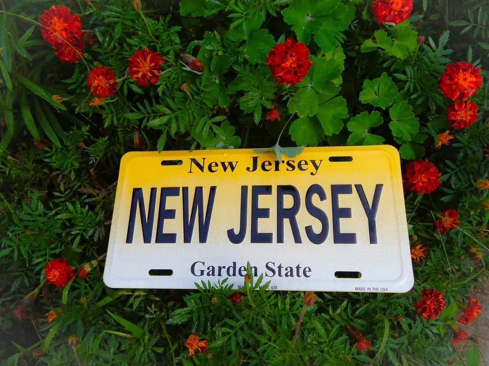 New Jersey the garden State, view of license plates in a flower garden