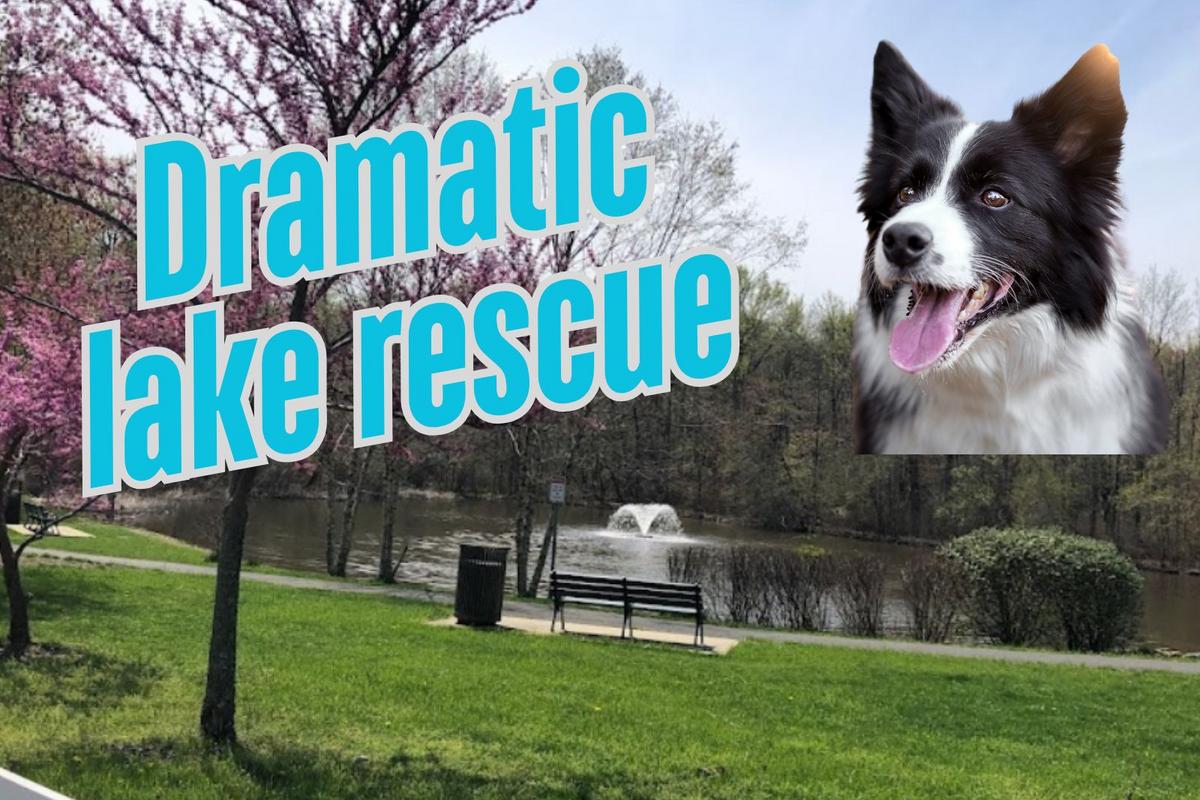 Hero cop rescues dog from drowning in a frozen NJ lake