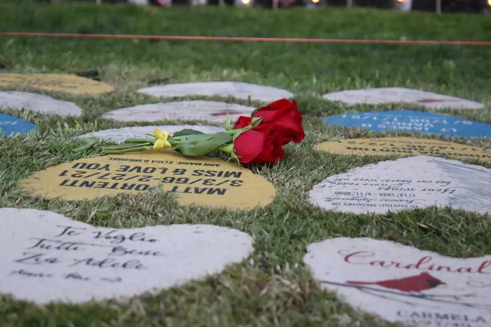 (credit: Rami's Heart COVID-19 Memorial)