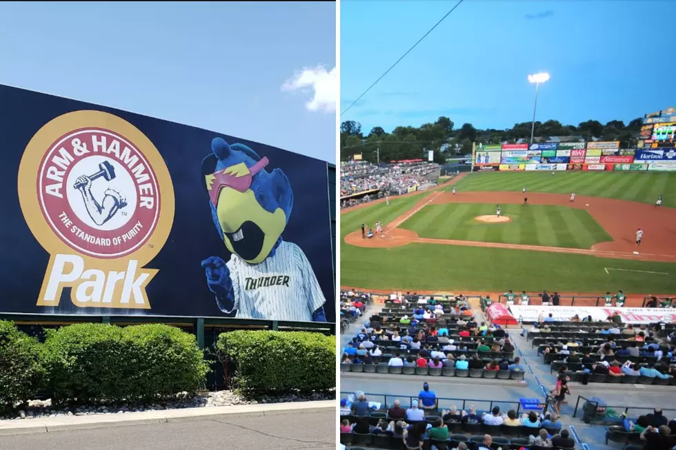 Trenton Thunder Minor League Baseball