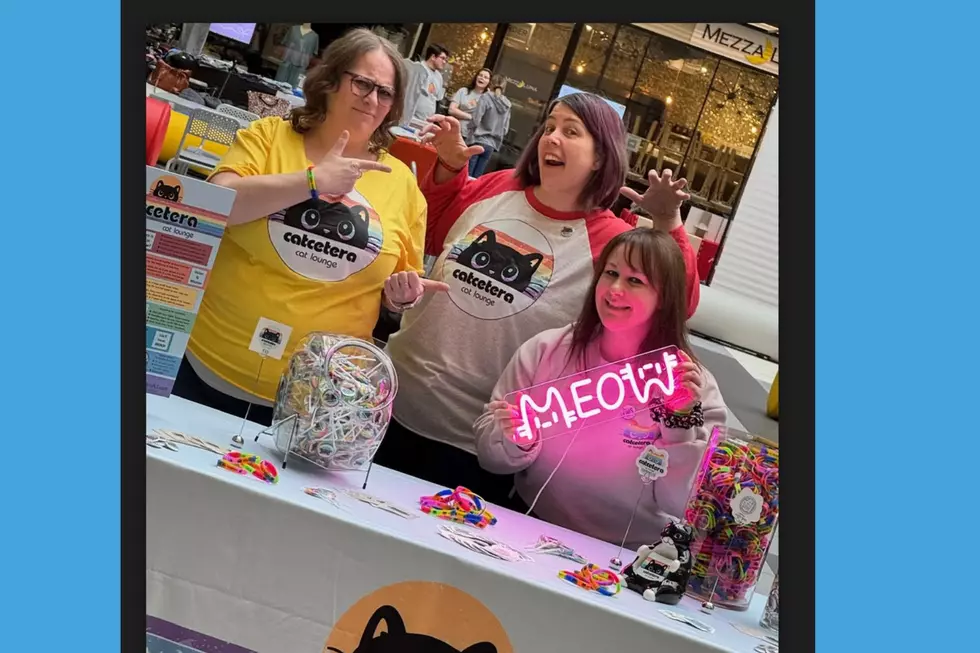 Jessica Adams, Wendi Zimmerman and Gina Barbieri at Catsbury Park's Adopt & Shop event at Bell Works in Holmdel, NJ on 3/15 (Catcetera)