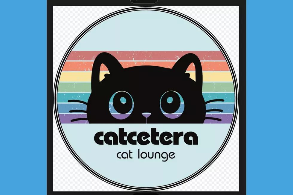 Catcetera logo (Catcetera)