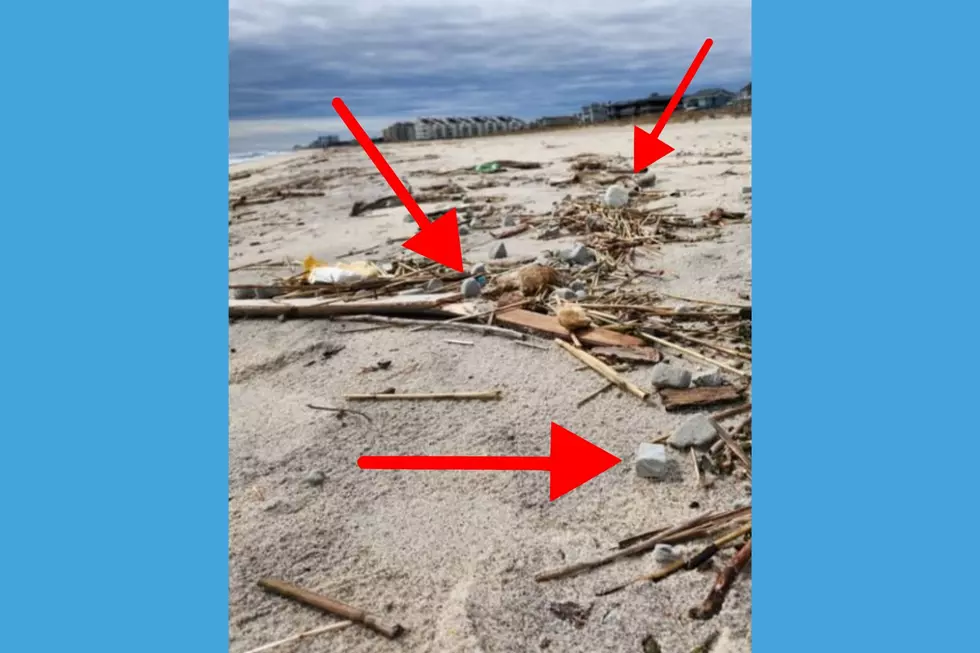 Floating stones are washing up on Monmouth County beaches (Clean Ocean Action via Facebook/Canva)