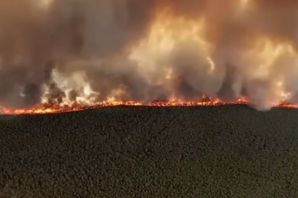 Ocean County man accused of starting massive wildfire is being released to home monitoring (Screenshot of fire from 6abc Philadelphia via Youtube)