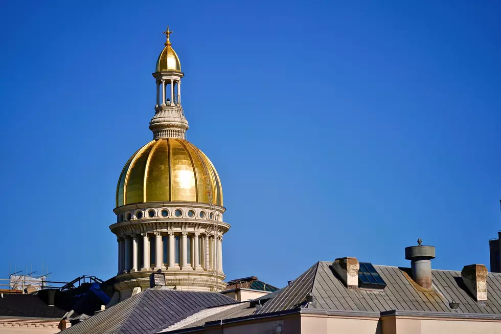 The New Jersey State House in Trenton (AP Photo/Matt Rourke)